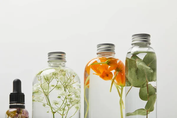 Органические косметические продукты в прозрачных бутылках с травами, листьями и полевыми цветами, изолированными на сером — стоковое фото