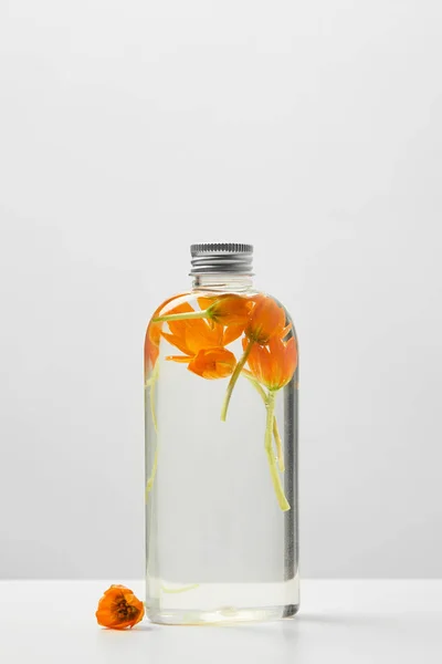 Producto de belleza orgánica en botella transparente con flores naranjas sobre mesa blanca aislada en gris - foto de stock