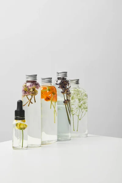 Органические косметические продукты в бутылках с травами и полевыми цветами подряд на белом столе, изолированном на сером — стоковое фото