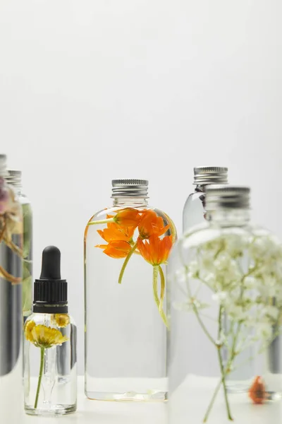 Enfoque selectivo de productos de belleza natural en botellas con hierbas y flores silvestres aisladas en gris - foto de stock