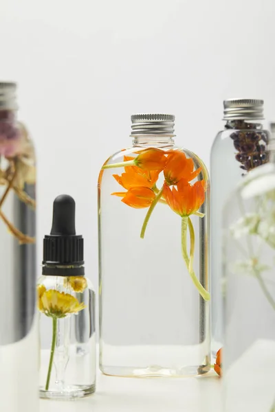 Selective focus of organic beauty products in bottles with herbs and wildflowers isolated on grey — Stock Photo