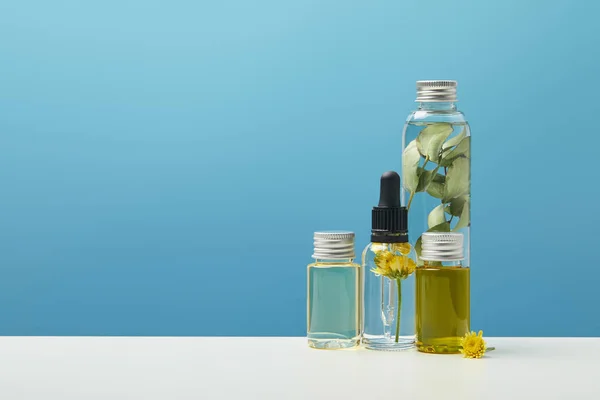 Productos cosméticos ecológicos con hojas verdes y flores en botellas transparentes aisladas en azul con espacio de copia — Stock Photo