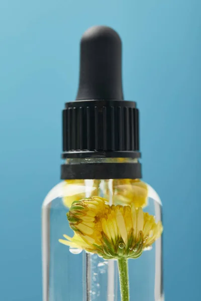 Close up of organic beauty product with dandelions and dropper isolated on blue — Stock Photo
