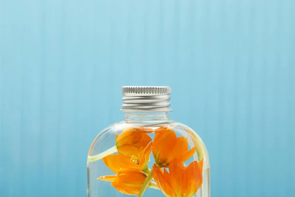 Close up of organic beauty product with orange flowers in bottle on blue background with copy space — Stock Photo