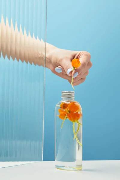 Vista ritagliata della donna che tiene il fiore arancione dietro vetro strutturato vicino al prodotto di bellezza organico in bottiglia su sfondo blu — Foto stock