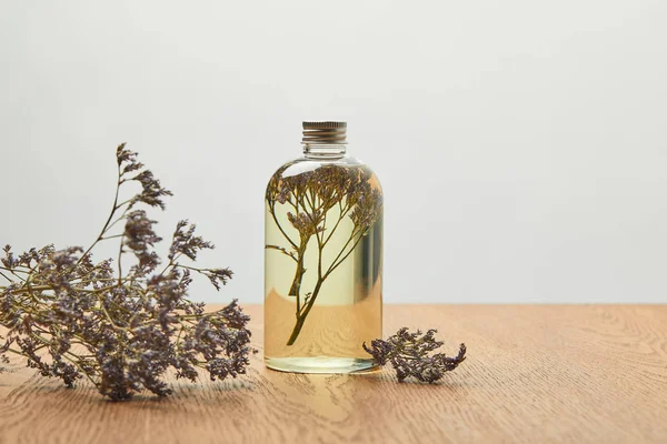 Producto de belleza orgánica en botella cerca de flores silvestres secas púrpuras en mesa de madera aislada en gris - foto de stock