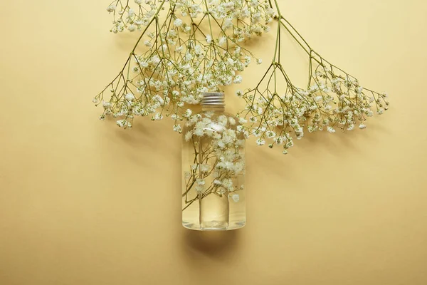 Draufsicht der Flasche mit natürlichem Schönheitsprodukt in der Nähe von getrockneten weißen Wildblumen auf gelbem Hintergrund — Stockfoto