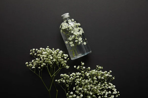 Vista superior de la botella con producto de belleza natural cerca de flores silvestres blancas secas sobre fondo negro - foto de stock