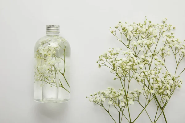 Вид на прозрачную бутылку с натуральным жидким продуктом красоты рядом с сухими белыми полевыми цветами на сером фоне — стоковое фото