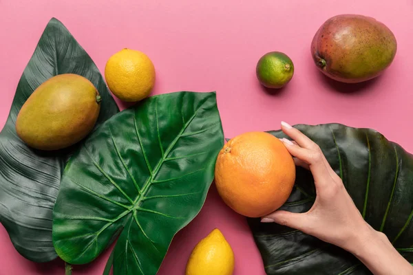 Обрезанный вид женщины, держащей грейпфрут рядом с целыми спелыми тропическими фруктами с зелеными листьями на розовом фоне — стоковое фото
