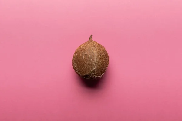 Vista superior de coco entero sobre fondo rosa - foto de stock