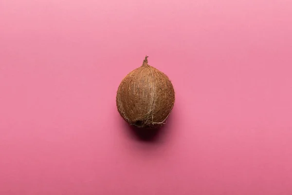 Vista dall'alto di tutto il cocco su sfondo rosa — Foto stock