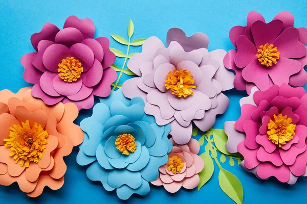 Vista superior de coloridas flores cortadas en papel con hojas verdes sobre fondo azul - foto de stock