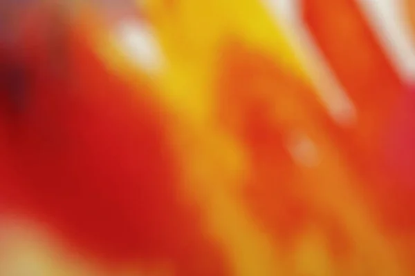 Close up view of yellow and red blurred watercolor paint spills — Stock Photo