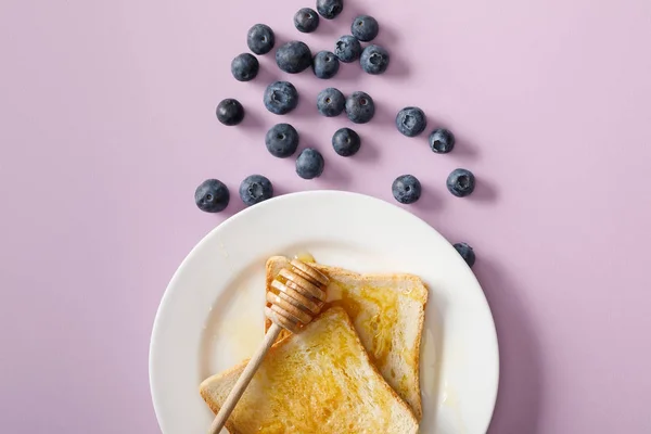 Top view of toasts with honey, wooden dipper on white plate and scattered blueberries on violet background — Stock Photo