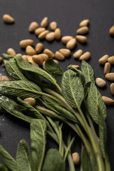 Close up view of green sage and pine nuts on black background — Stock Photo
