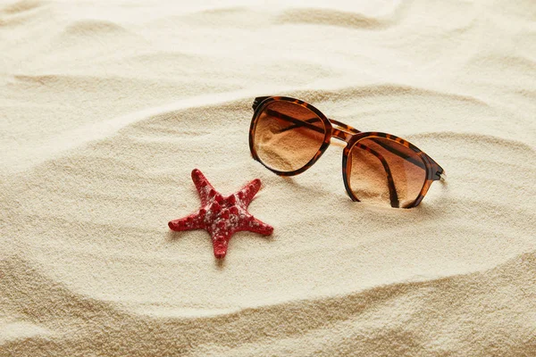 Gafas de sol con estilo marrón sobre arena con estrellas de mar rojas - foto de stock