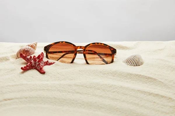 Brown stylish sunglasses on sand with red starfish and seashells on grey background — Stock Photo