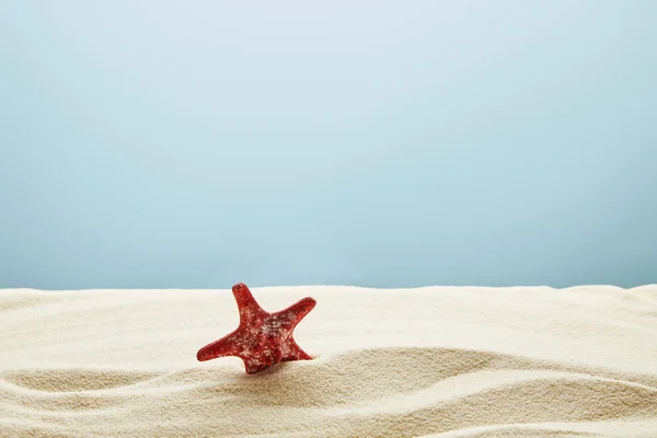 Arena dorada de textura ondulada con estrellas de mar rojas sobre fondo azul - foto de stock