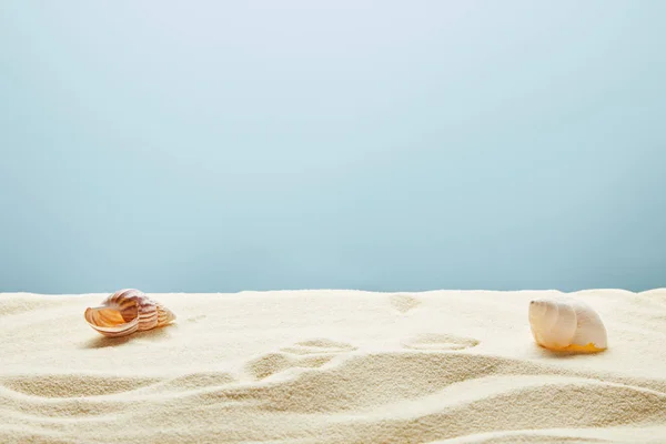 Wellig strukturierter goldener Sand mit Muscheln auf blauem Hintergrund — Stockfoto