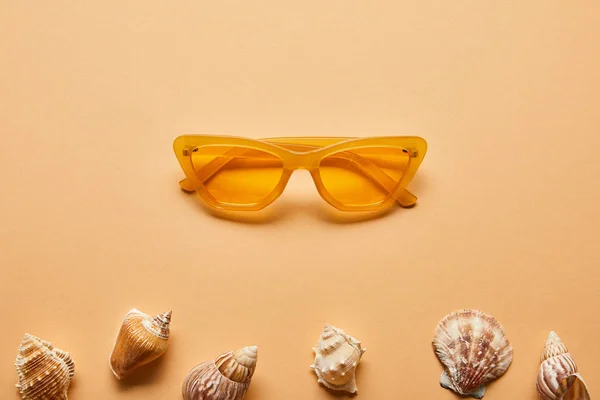 Marine textured seashells and stylish sunglasses on beige background — Stock Photo