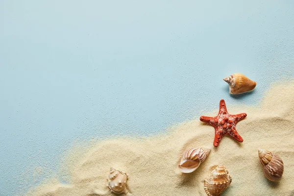 Vista superior de areia dourada ondulada texturizada com conchas e estrelas do mar em fundo azul com espaço de cópia — Fotografia de Stock