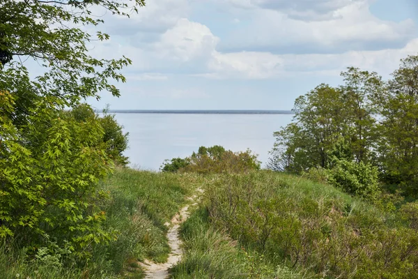 Paysage estival paisible avec arbres verts, rivière et ciel bleu — Photo de stock