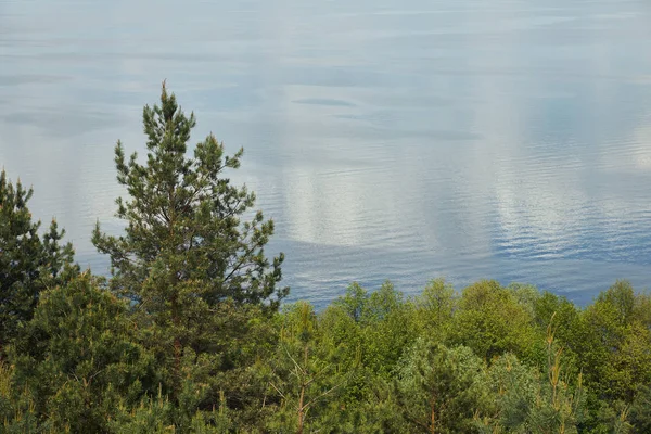 Luftaufnahme einer friedlichen Landschaft mit Fluss, grünen Blättern und Kiefern — Stockfoto