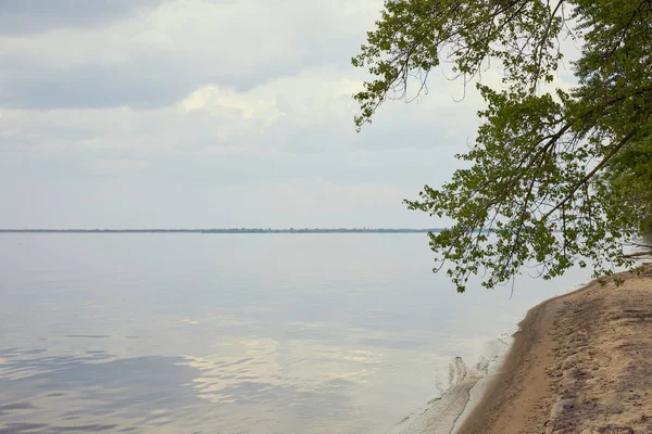 Costa di fiume con albero verde su spiaggia sabbiosa — Foto stock