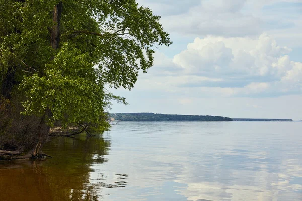 Paysage avec étang calme, arbre vert et ciel avec des nuages blancs — Photo de stock