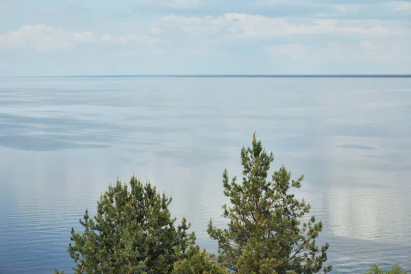 Vista aerea di alberi verdi vicino al fiume con cielo blu — Foto stock