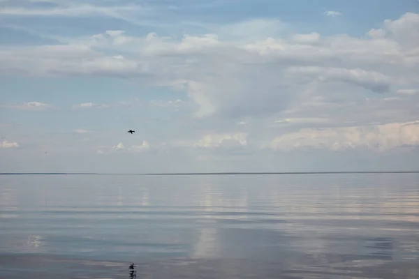 Oiseau volant près de la rivière sur un ciel bleu paisible avec des nuages blancs — Photo de stock