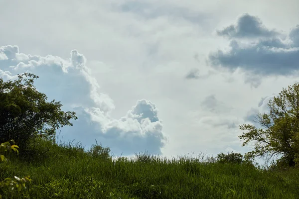 Tiefansicht auf grünes Gras mit Büschen unter blauem, friedlichem Himmel mit weißen Wolken — Stockfoto