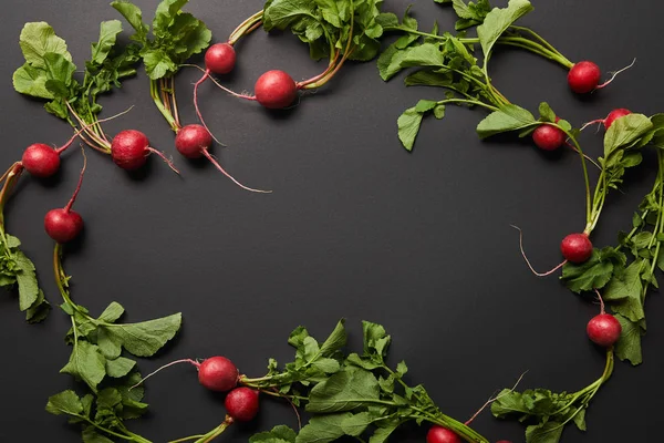 Top view of whole nutritious tasty radish with green leaves on black background with copy space — Stock Photo