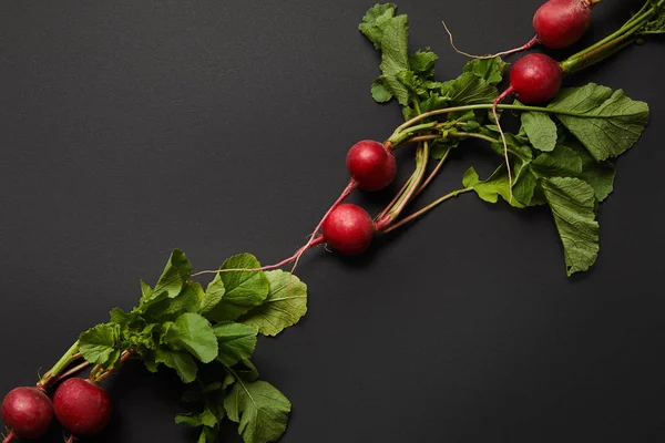 Whole nutritious tasty radish with green leaves on black background — Stock Photo
