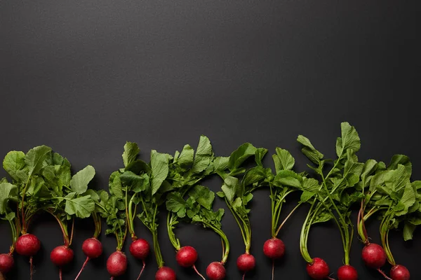 Top view of fresh radish on black background with copy space — Stock Photo