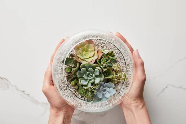 Vue recadrée de la femme tenant succulente en pot de fleurs en verre sur fond de marbre texturé — Photo de stock