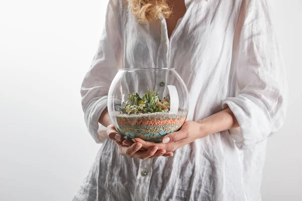 Cropped view of woman holding green succulent in glass aquarium isolated on white with copy space — Stock Photo