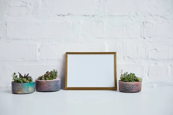 Green succulents in flowerpots near blank in frame on brick wall background — Stock Photo