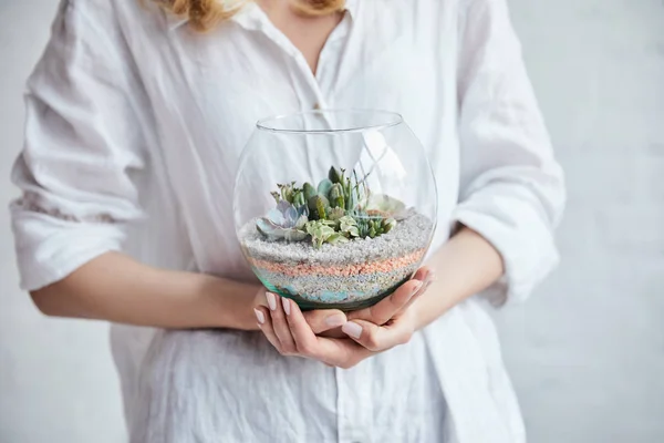 Partial view of woman in white shirt holding glass aquarium with green succulents — Stock Photo