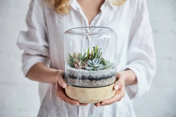 Selective focus of woman in white shirt holding green succulents under glass cover in flowerpot — Stock Photo