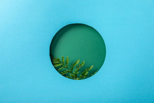 Fond géométrique avec feuille de fougère verte dans un trou rond sur papier bleu — Photo de stock