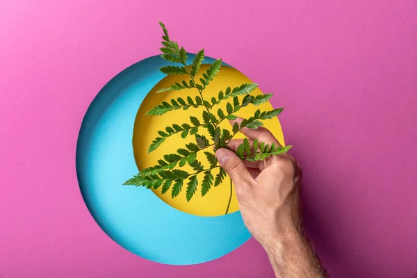 Cropped view of make hand holding fern leaf on colorful paper with circles — Stock Photo