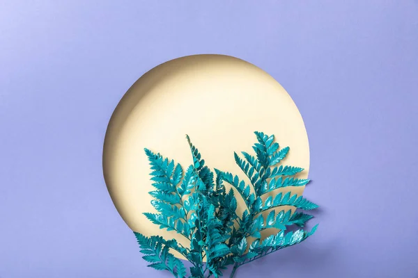 Blaue dekorative Farnblätter in der Nähe eines beigen Lochs auf lila Papier — Stockfoto