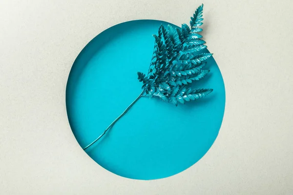 Blue fern leaf in round hole on white paper — Stock Photo