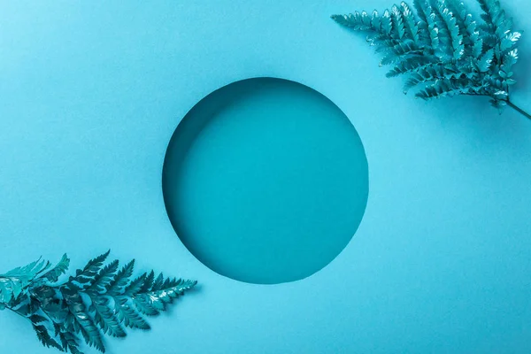 Блакитне листя папороті біля круглої лунки на синьому папері — стокове фото