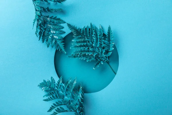 Feuilles de fougère décoratives bleues dans un trou rond sur papier bleu — Photo de stock