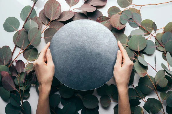 Cropped view of woman holding empty black round frame on white with eucalyptus leaves — Stock Photo