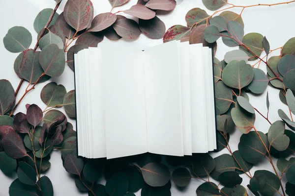 Vue de dessus des branches d'eucalyptus avec cahier vide sur blanc — Photo de stock