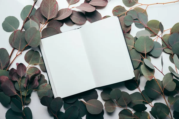 Vista superior de hojas de eucalipto con cuaderno vacío en blanco - foto de stock